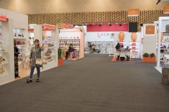 Evento Feria IFLS + EICI Enero 2018 8